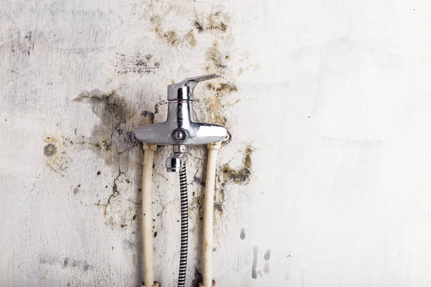 Best HVAC Mold Remediation in Buda, TX