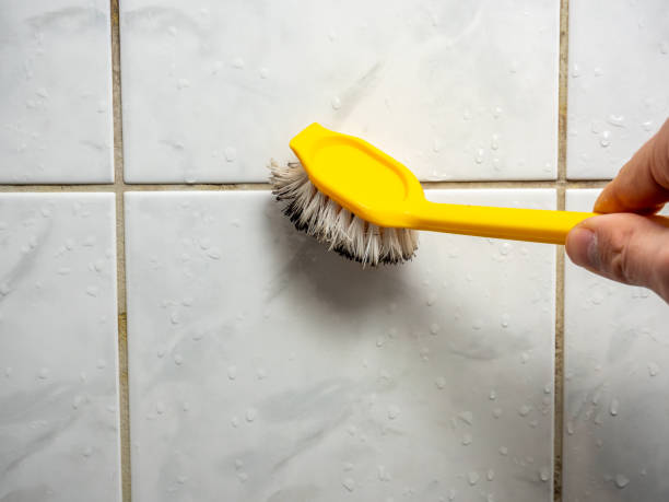 Best Bathroom Mold Remediation in Buda, TX